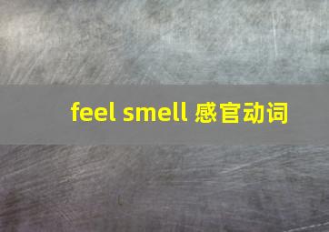 feel smell 感官动词